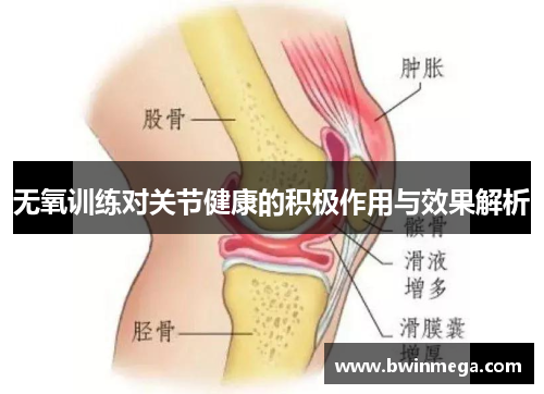 无氧训练对关节健康的积极作用与效果解析